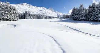 Altiport Altiport