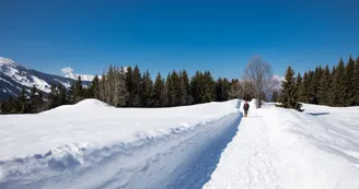Sentier piéton hiver