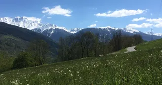 Vulmix