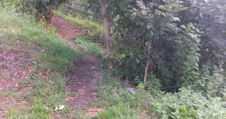 Vulmix