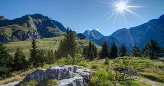Pralognan-la-Vanoise : Plateau du Mont Bochor