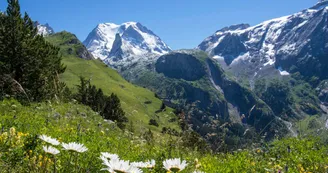 Pralognan-la-Vanoise sentier balcon Bochor
