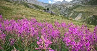 Chemin de la Duis