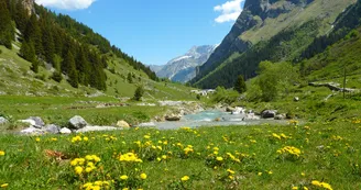 Chavière Chavière