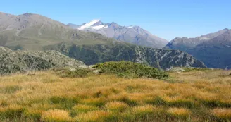 secteur de l'Arpont secteur de l'Arpont