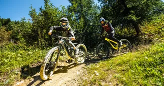 VTT