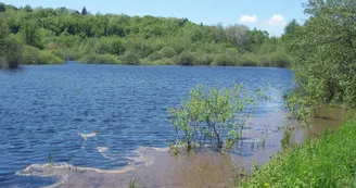 Marais de la Crusille