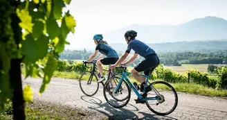 velo et vignoble