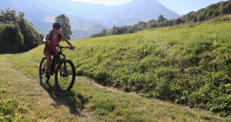 VTT - Panorama VTT - Panorama