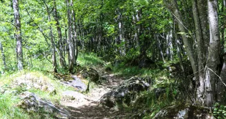 Ouillon VTT Ouillon VTT
