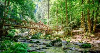 Passerelle du Cirque de St Même