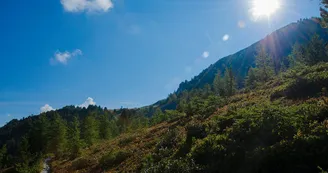 Sentier Mont Saint Jacques