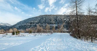 Marais 2 Hiver