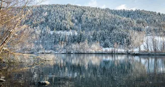 Marais 3 Hiver