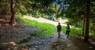 Forêt de Praz Gelaz
