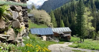 Les Herbiers