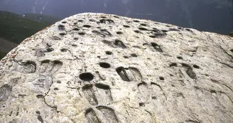 Pierre aux pieds