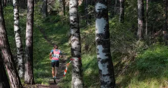 Circuit des escaliers