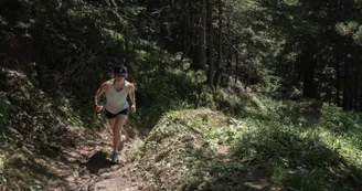 Sentier des alpes