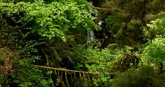 Pont Du Diable