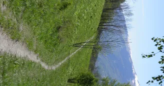 Le Chemin de la Pierra