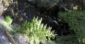 Le Chemin de la Pierra