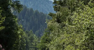 L'avalanche