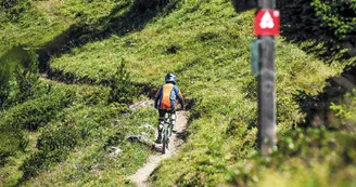l'art de la selle