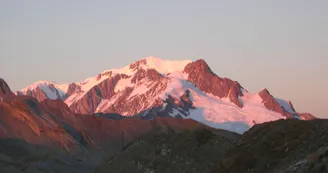 2339967.jpg 2339967.jpg