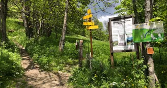 randonée balcon des balais à valloire