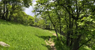 randonée balcon des balais à valloire