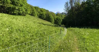 randonée balcon des balais à valloire