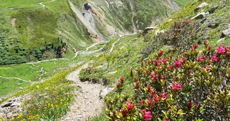 Col des sarrasins