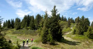 Tour du bois de Covetan