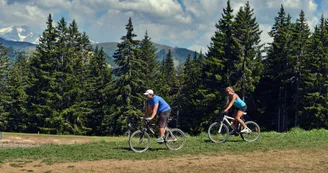 VTT VTT