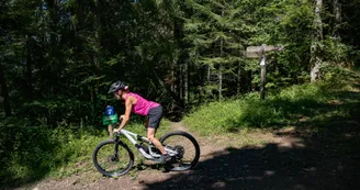 Enduro - Colonne