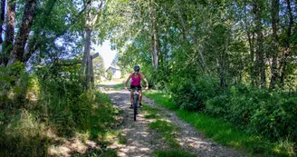 Enduro - Colonne