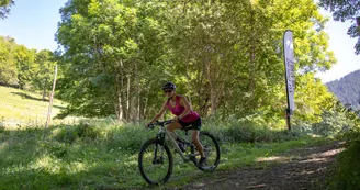 Enduro - Colonne