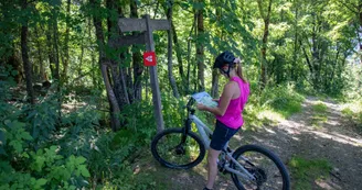 Enduro - Carreley