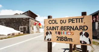 Panneau du col