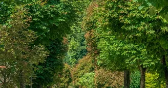 Allée Allée