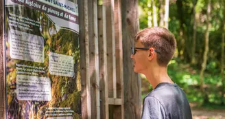 Agora Bois des fées Agora Bois des fées