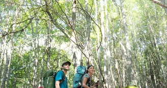 Bois des Feuillères Bois des Feuillères