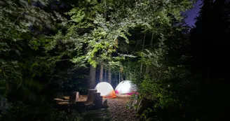 Bivouac Bivouac