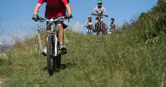 VTT