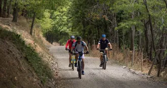 VTT