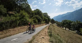 VTT