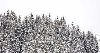 B - Boucle du Jardin Alpin (hiver)_Courchevel