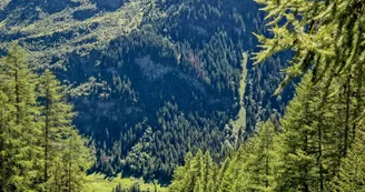 Circuit de randonnée : cascade de la Raie_Sainte-Foy-Tarentaise