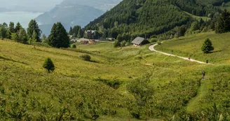 Randonnée à la Croix du Nivolet Randonnée à la Croix du Nivolet
